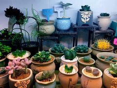 -双季花艺园艺市场(浦东店)