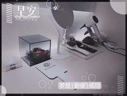 -紫御国际抗衰ZOE ANTI AGING