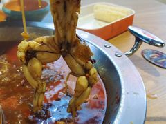 -铭记蛙小仙·活蛙畅享(CBD万达广场店)