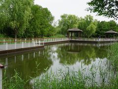 -同里国家湿地公园