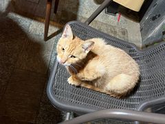 -鱼乐岛餐厅·户外花园主题餐厅