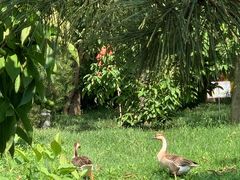 -泰安地下龙宫景区