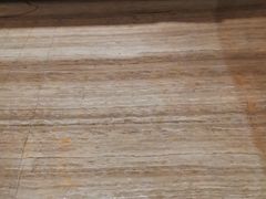 -常州环球恐龙城维景国际大酒店
