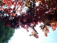 -正宗天津烧麦馆(柳州路店)