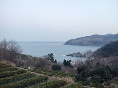 -今鲜源酒店·海鲜锅贴青岛菜(新湛路店)