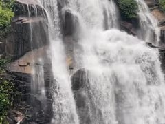 -海南热带雨林国家公园吊罗山景区