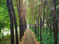 -长春市南湖公园