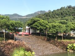 -南丹山森林王国