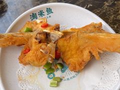 -鱼粤鲜淘米捞·中山脆肉鲩火锅(悦湖会店)