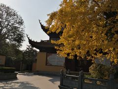 -圆通寺