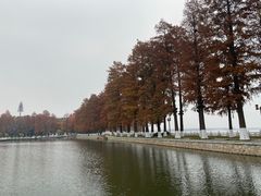-东湖落雁景区