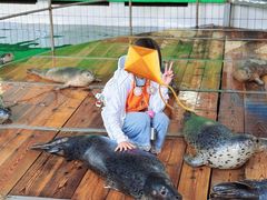 -西霞口神雕山野生动物世界