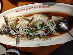 -丹江渔村(望京店)