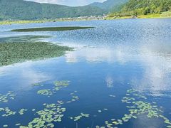 -腾冲北海湿地
