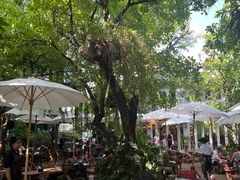 -Fern Forest Cafe