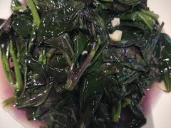 -全乐鱼馆·淳牌有机鱼直营店