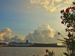 -上海吴淞炮台湾国家湿地公园