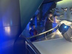 -陕西自然博物馆