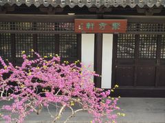 -常熟方塔园