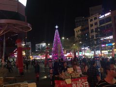 -东莞植物园