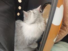 -宠颐生中康贝怡动物医院