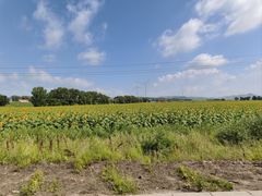 -坝上京北第一草原景区