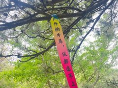 -北京鹫峰国家森林公园