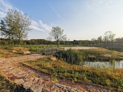 -盘龙城国家考古遗址公园