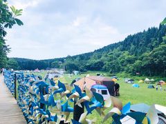 -武陵山森林公园