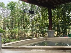 -思念果岭悦温泉