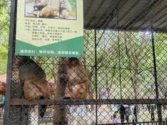 -长白岛森林公园