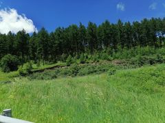 -塞罕坝国家级自然保护区