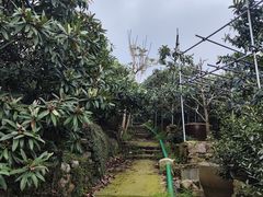 -东山风景区(洞庭东山)