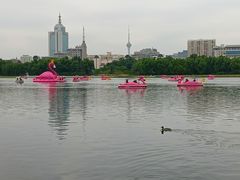 -莲花池公园