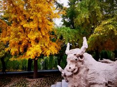 -元大都城垣遗址公园