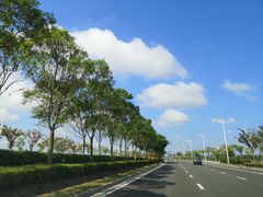 -南汇嘴观海公园