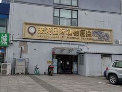 -宠爱国际动物医院·疑难骨科·心肾内科·皮肤科(太阳宫店)