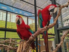 -北京野生动物园