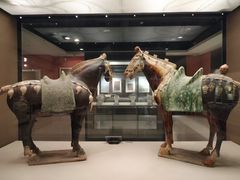 -西安大唐西市博物馆