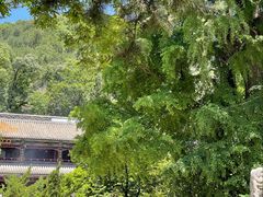 -潭柘寺景区