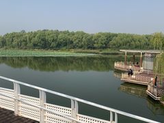 -大兴滨河森林公园