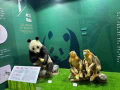 -国家自然博物馆