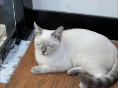 -荔康动物医院(康王北路店)