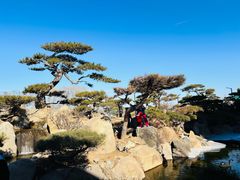 -罗红摄影艺术馆