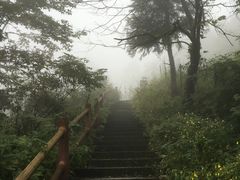 -九峰山