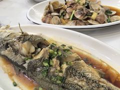 -金海湾海鲜排档(朱家尖店)
