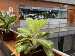 -ROAST coffee & eatery