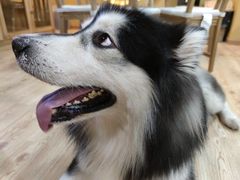 -白兔子密室(长寿路店)