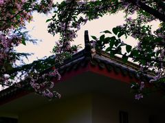 -温江公园