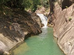 -广州白江湖森林公园